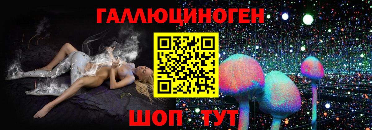 Новотроицк  Галлюциногенные грибы Psilocybine cubensis  Вход с VPN  Псилоцибиновые грибы MAGIC MUSHROOMS 