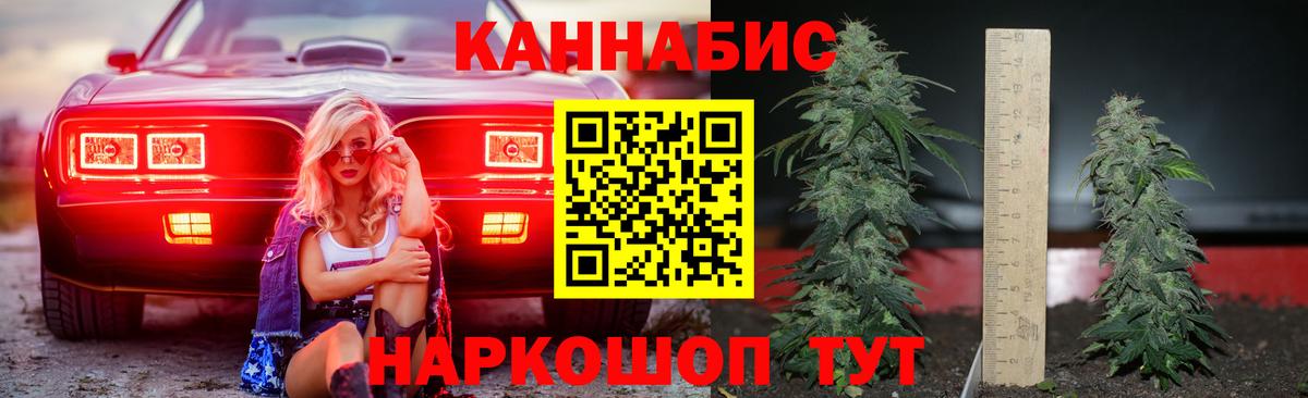 Шишки марихуана LSD WEED  Шишки марихуана семена  Вход с VPN  Марихуана конопля  Новотроицк  Бошки Шишки THC 21% 